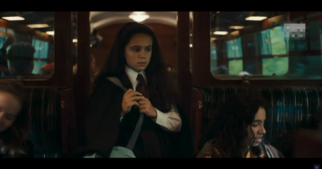 Hermione in Hogwarts Express