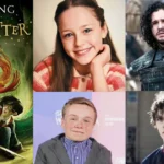 Who is playing Dobby, Tom Riddle, Ginny, and Gilderoy in HBO's Harry Potter series cast grid featuring book cover art alongside Bonnie Hill, Kit Harington, Lenny Rush, and Billy Barratt.
